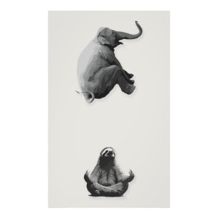 Olifant en Mediterende Luiaard Harmonie Foto Afdruk