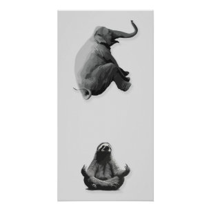 Olifant en Mediterende Luiaard Harmonie Perfect Poster