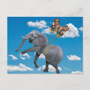 Olifant- en vlinderansichtkaart om op te vrolijken briefkaart