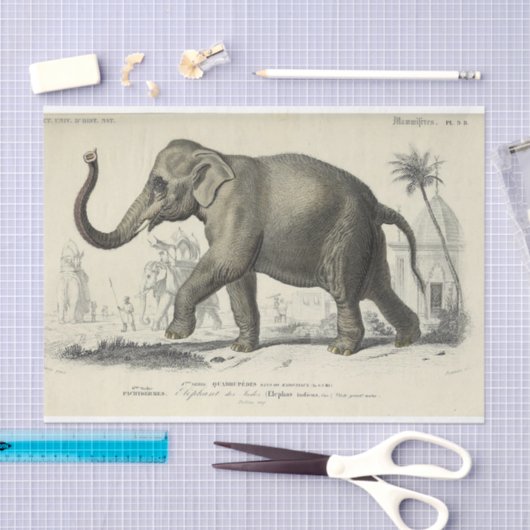 olifant Ephemera decoupage Franse script Tissuepapier (Craft)