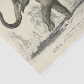  olifant Ephemera decoupage Franse script Tissuepapier (Detail)