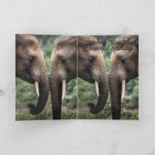 Olifant Familie Liefde Verjaardag Kaart. Kaart (Binnen)