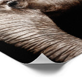 Olifant Foto Afbeelding Poster (Hoek)