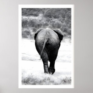 Olifant Fotografie Print Monochroom Natuur Kunst