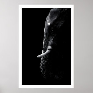 Olifant fotografieprint Minimalistische safari kun Poster