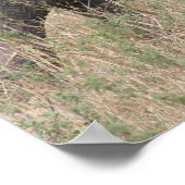 olifant getand poster (Hoek)