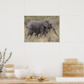 olifant getand poster (Keuken)