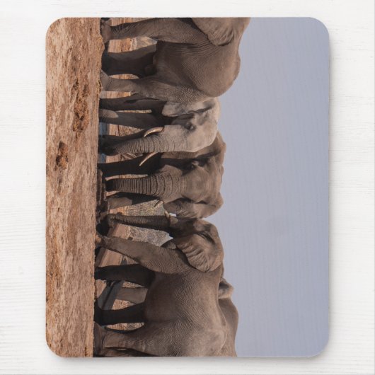 Olifant, grazen, dier muismat (Voorkant)