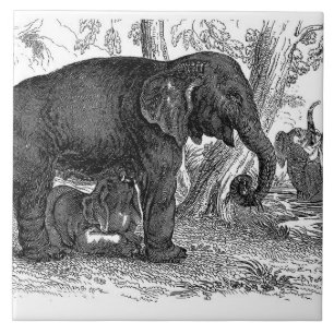 olifant huis kantoor decor tegel tegeltje