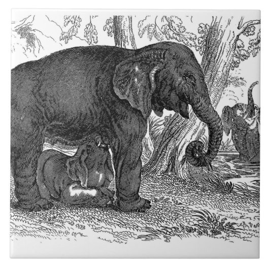  olifant huis kantoor decor tegel tegeltje (Voorkant)