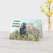 OLIFANT "ik vergeet GEBOORTE nooit een van de Kaart (Gele Bloem)