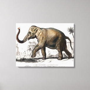 Olifant Illustratie Vintage Kunstprint Canvas Afdruk
