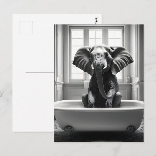Olifant in bad briefkaart (Voorkant / Achterkant)