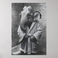 Olifant in badjas print, grappige badkamer kunst