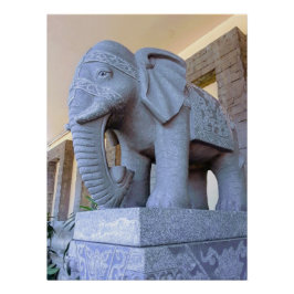 Olifant in Cebu City Perfect Poster