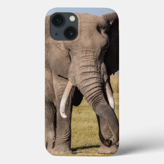 Olifant in een agressieve houding Case-Mate iPhone case (Achterkant)
