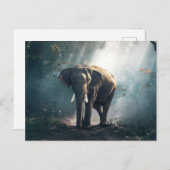 Olifant in het Oerwoud Briefkaart (Voorkant / Achterkant)