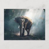 Olifant in het Oerwoud Briefkaart (Voorkant)