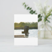 olifant in het watergat briefkaart (Staand voorkant)