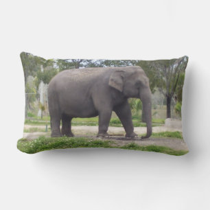 Olifant in rustig boslandschap rekt zich uit kussen
