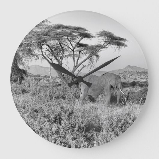 Olifant in Samburu Grote Klok (Voorkant)