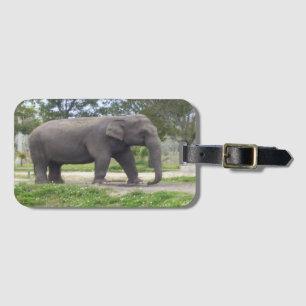 Olifant in Stille Weide Bagagelabel