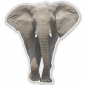 Olifant in Zuidoost-Azië Sticker (Voorkant)
