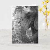 Olifant Kaart (Gele Bloem)