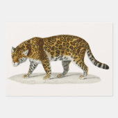 Olifant, kameel en luipaard door D'Orbigny Inpakpapier Vel (Voorkant 3)