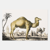 Olifant, kameel en luipaard door D'Orbigny Inpakpapier Vel (Voorkant 2)