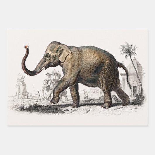 Olifant, kameel en luipaard door D'Orbigny Inpakpapier Vel (Voorkant)