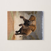 Olifant Kangoeroe Hop, puzzel (Horizontaal)