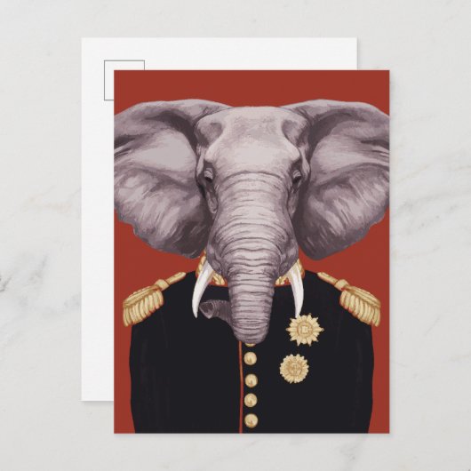 Olifant Kapitein Briefkaart (Voorkant / Achterkant)