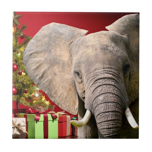 Olifant Kerstgroeten Tegeltje (Voorkant)