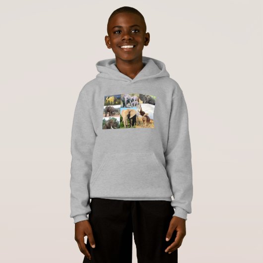 Olifant kleur foto (Voorkant volledig)
