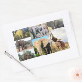 Olifant kleur foto rechthoekige sticker (Envelop)