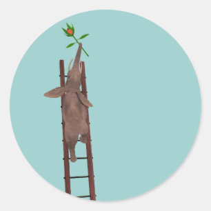 Olifant klimt op een ladder ronde sticker