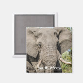 Olifant Koelkast Magneet - Zuid-Afrika (Voorkant / Achterkant)