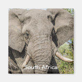 Olifant Koelkast Magneet - Zuid-Afrika (Voorkant)