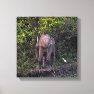 Olifant Liefhebber Geschenk Opgespannen Canvas Ku Afdruk
