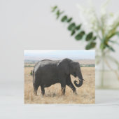 olifant loopt briefkaart (Staand voorkant)