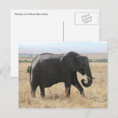 olifant loopt briefkaart (Voorkant / Achterkant)