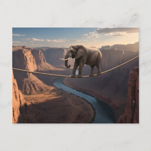 Olifant loopt op het touw kunst briefkaart (Voorkant)