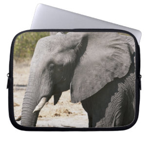 Olifant (Loxodonta africana), Savute Channel Laptop Sleeve