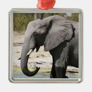 Olifant (Loxodonta africana), Savute Kanaal Metalen Ornament