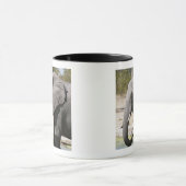 Olifant (Loxodonta africana), Savute-kanaal Mok (Midden)