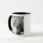 Olifant (Loxodonta africana), Savute-kanaal Mok (Voorkant links)