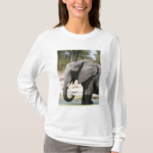 Olifant (Loxodonta africana), Savute-kanaal T-shirt