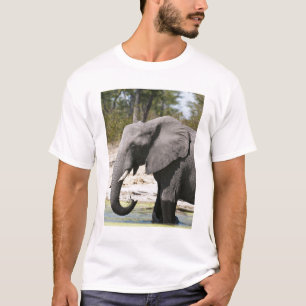 Olifant (Loxodonta africana), Savutekanaal T-shirt