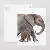 Olifant met Baby Olifant Briefkaart (Voorkant / Achterkant)